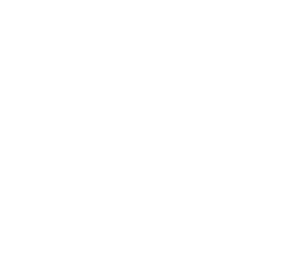 Washington University Shield Logo