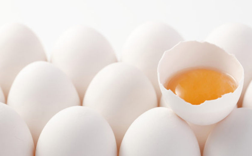 Eggs Significantly Increase Growth