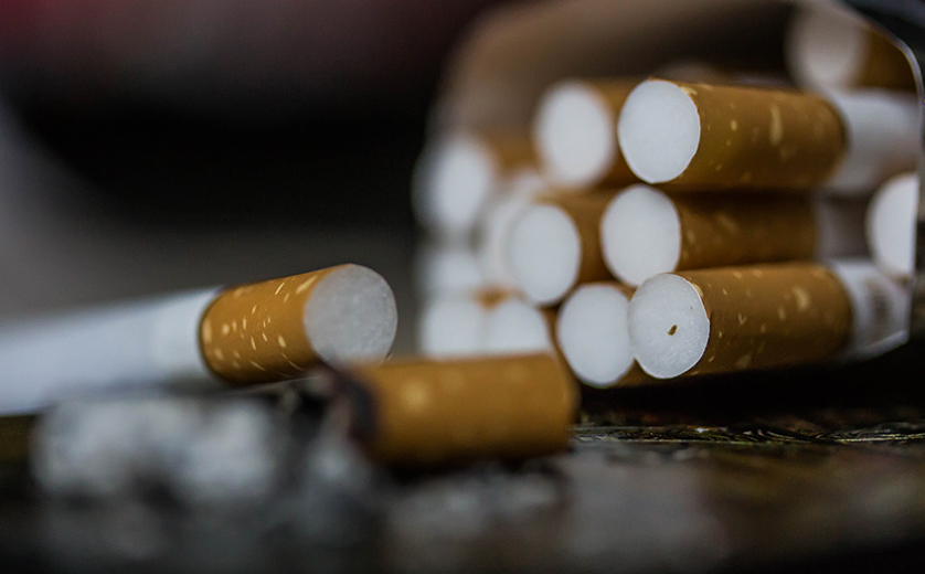 Close-up photo of cigarettes in an open package.
