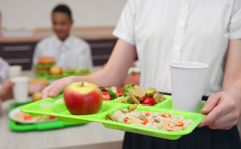 Close up of school lunch tray being carried by child in lunchroom